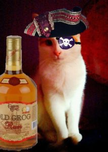 piratecat_loves_rum
